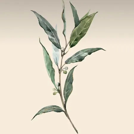 Casa El Lloreu Holiday home