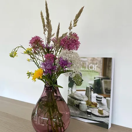 Casa El Lloreu Naves (Asturias)